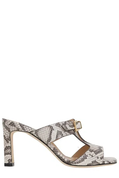 Sergio Rossi 80mm Nora Mules In Multi