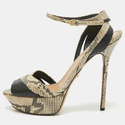 Pre-owned Sergio Rossi Grey Python Embossed Leather Ankle Strap Sandals Size 41
