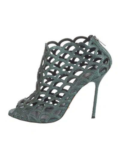Pre-owned Sergio Rossi Leather Animal Print Pumps In Green