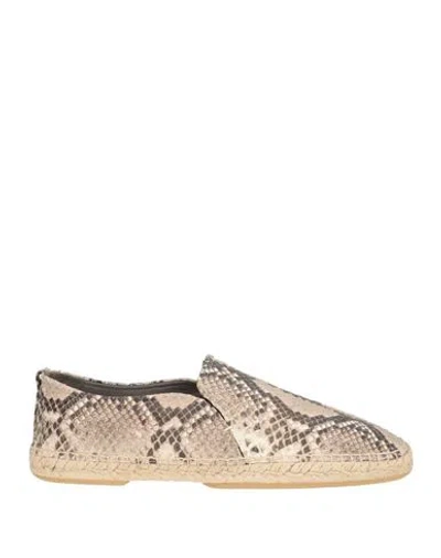 Sergio Rossi Man Espadrilles Beige Size 9 Leather In Multi