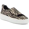 Sergio Rossi Platform Slip On Sneaker In Ecru