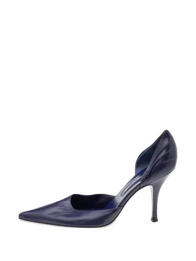 Pre-owned Sergio Rossi Pointed-toe Leather Pumps In Purple