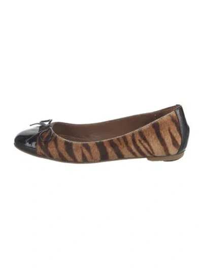 Pre-owned Sergio Rossi Ponyhair Animal Print Ballet Flats In Brown