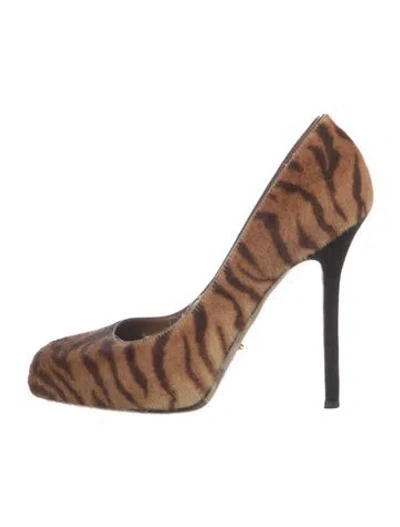 Pre-owned Sergio Rossi Ponyhair Animal Print Pumps In Brown