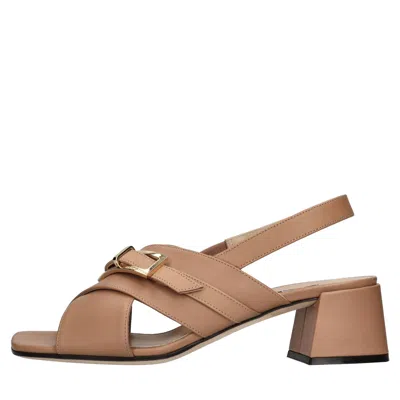 Sergio Rossi Sandals Brown In Marrone Scuri