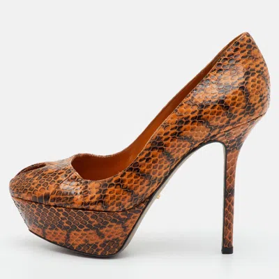 Pre-owned Sergio Rossi Size 34 Orange/black Python Leather Peep Toe Platform Pumps