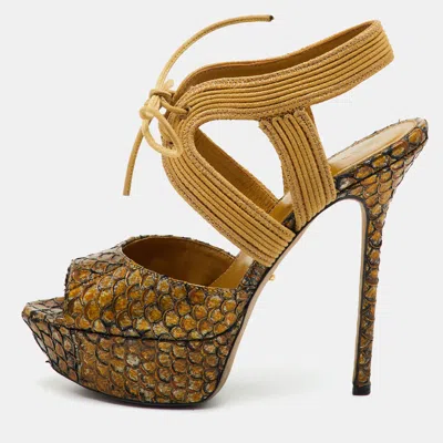 Pre-owned Sergio Rossi Size 36 Multicolor Python Embossed Leather Platform Ankle Tie Sandals