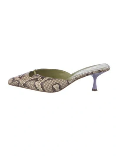 Pre-owned Sergio Rossi Snakeskin Animal Print Mules In Green/neutrals