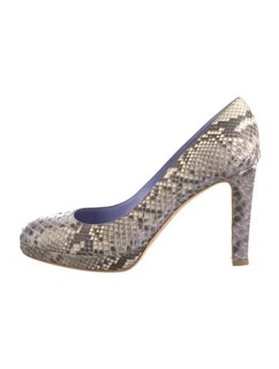 Pre-owned Sergio Rossi Snakeskin Animal Print Pumps In Purple