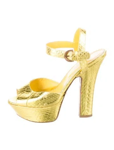 Pre-owned Sergio Rossi Snakeskin Animal Print Sandals In Gold