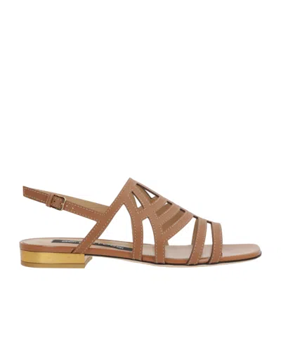 Sergio Rossi Sr Agate Flat Sandals In Smooth Leather In Brown