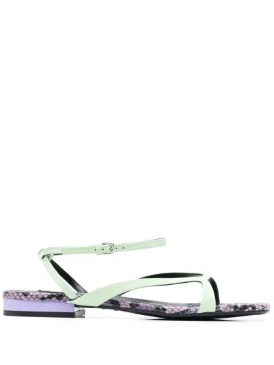 Sergio Rossi Sr Aracne Snake-print Sandals In Green