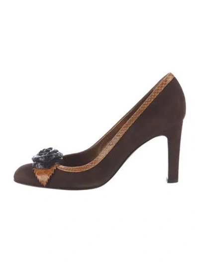 Pre-owned Sergio Rossi Suede Colorblock Pattern Pumps In Burgundy