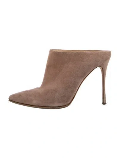 Pre-owned Sergio Rossi Suede Mules In Neutrals