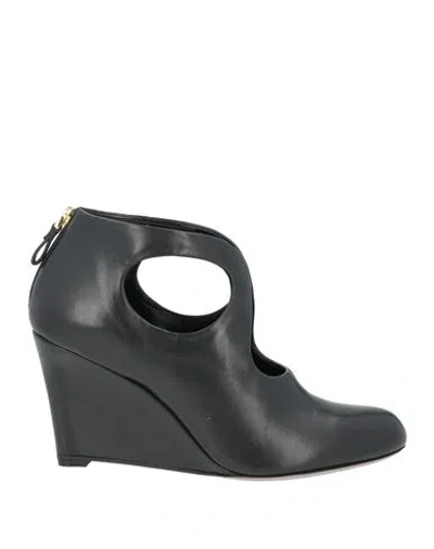 Sergio Rossi Woman Ankle Boots Black Size 10 Leather In Multi