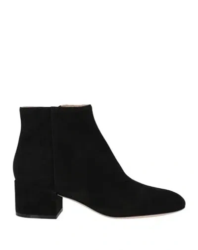 Sergio Rossi Woman Ankle Boots Black Size 7 Leather