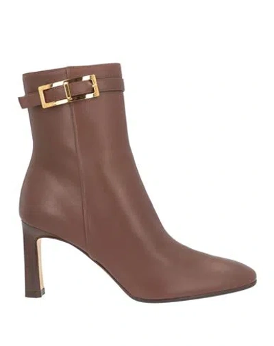 Sergio Rossi Woman Ankle Boots Brown Size 5.5 Leather