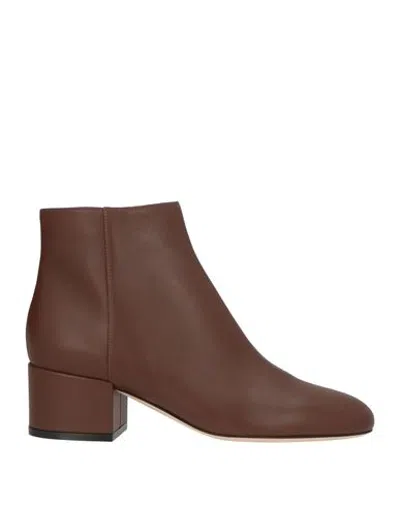 Sergio Rossi Woman Ankle Boots Brown Size 6 Leather