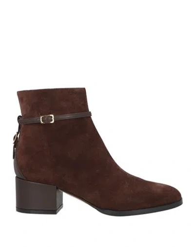 Sergio Rossi Woman Ankle Boots Brown Size 7 Soft Leather