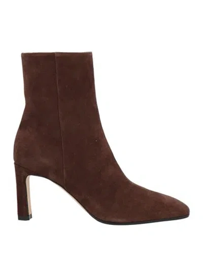 Sergio Rossi Woman Ankle Boots Brown Size 7.5 Leather