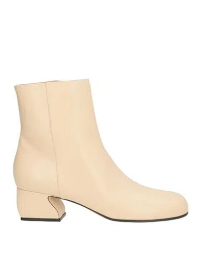 Sergio Rossi Woman Ankle Boots Cream Size 4 Leather In White