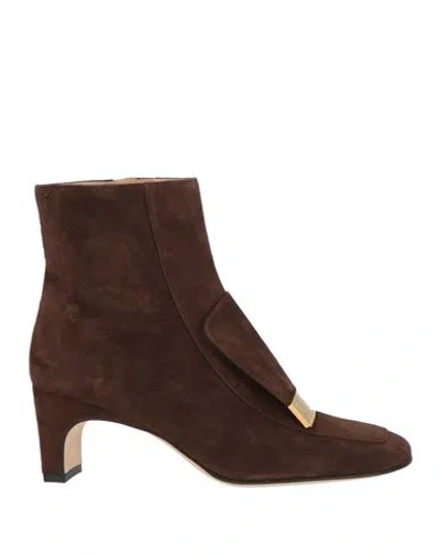 Sergio Rossi Woman Ankle Boots Dark Brown Size 7 Leather