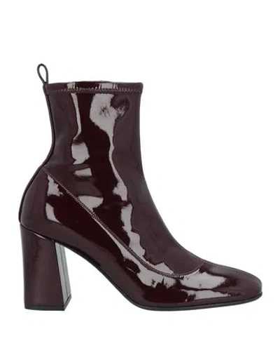 Sergio Rossi Woman Ankle Boots Deep Purple Size 8 Textile Fibers