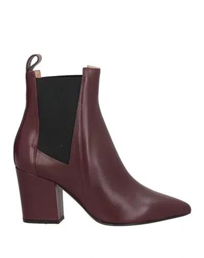 Sergio Rossi Woman Ankle Boots Plum Size 6 Soft Leather