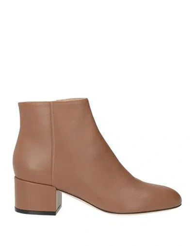 Sergio Rossi Woman Ankle Boots Tan Size 5 Leather In Brown