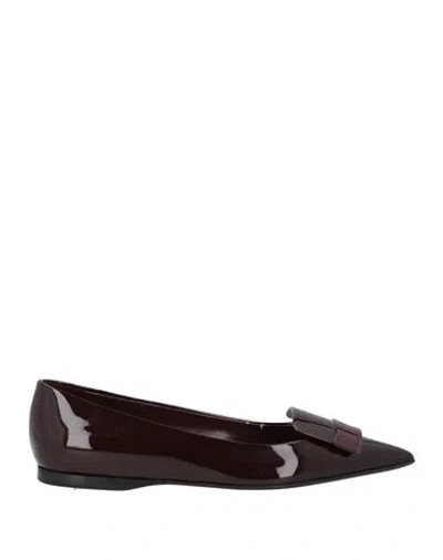 Sergio Rossi Ballet Flats In Purple