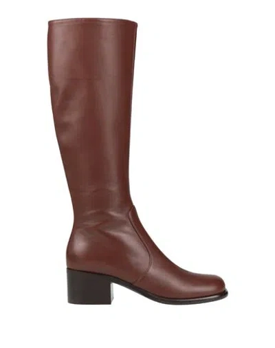 Sergio Rossi Woman Boot Chocolate Brown Size 6.5 Leather