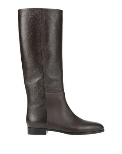 Sergio Rossi Woman Boot Dark Brown Size 7.5 Leather