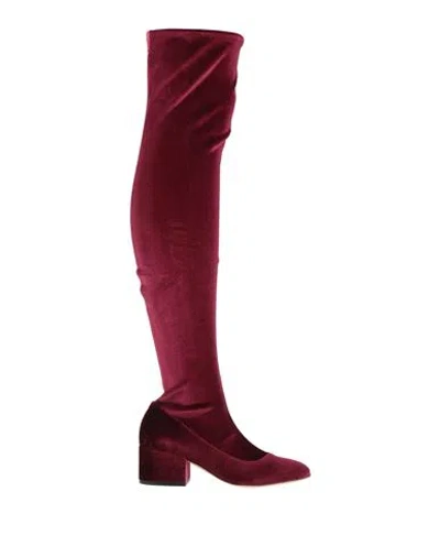 Sergio Rossi Woman Boot Garnet Size 6 Textile Fibers In Red