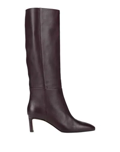 Sergio Rossi Woman Boot Plum Size 7 Leather In Brown