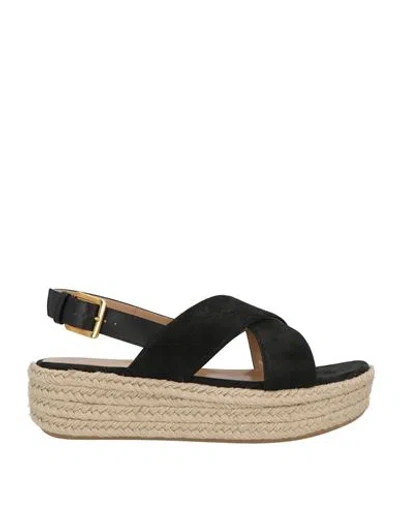 Sergio Rossi Woman Espadrilles Black Size 7.5 Leather In Orange