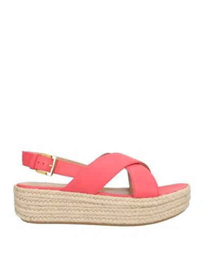 Sergio Rossi Woman Espadrilles Coral Size 7.5 Leather In Pink