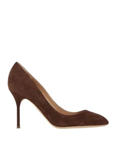 Sergio Rossi Woman Pumps Chocolate Brown Size 6.5 Leather