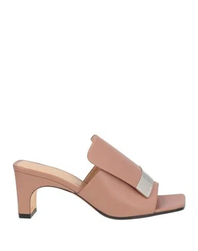 Sergio Rossi Woman Sandals Antique Rose Size 6.5 Leather In Pink