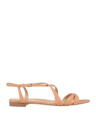 Sergio Rossi Woman Sandals Apricot Size 10.5 Leather In Nude
