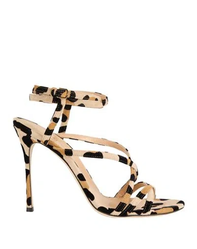 Sergio Rossi Woman Sandals Beige Size 6 Leather