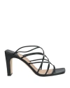 Sergio Rossi Sandals Black In Black