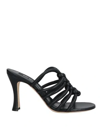 Sergio Rossi Woman Sandals Black Size 11 Leather In Black
