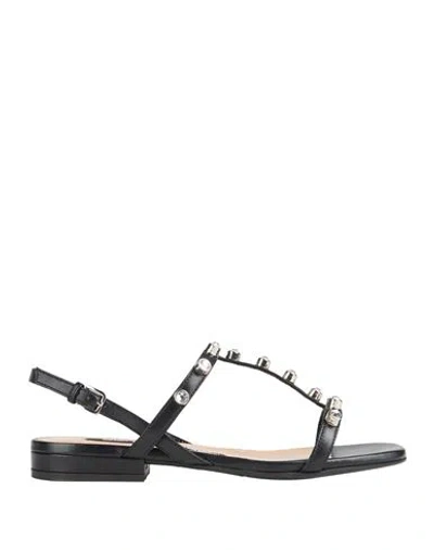 Sergio Rossi Woman Sandals Black Size 5 Leather