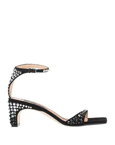 Sergio Rossi Sandals In Black