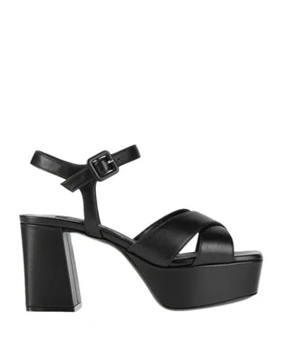 Sergio Rossi Woman Sandals Black Size 5.5 Leather