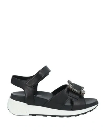 Sergio Rossi Woman Sandals Black Size 7 Leather