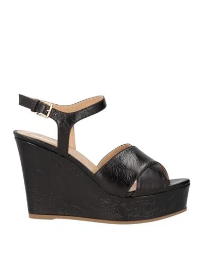Sergio Rossi Woman Sandals Black Size 8 Leather