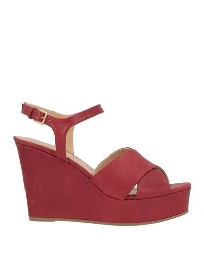 Sergio Rossi Woman Sandals Brick Size 9 Leather In Red