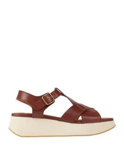 Sergio Rossi Woman Sandals Brown Size 6 Leather