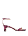 Sergio Rossi Woman Sandals Fuchsia Size 8 Soft Leather In Pink